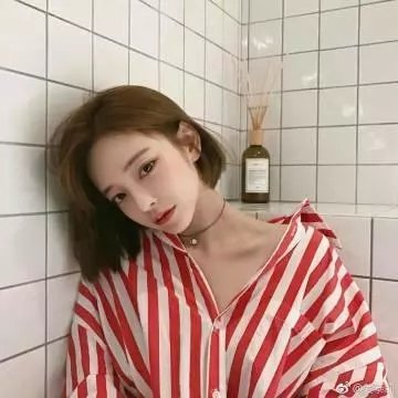 牵牛的夏天