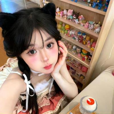 猫贼
